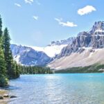 Environmental Stewardship - Green Trees Near Body of Water