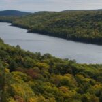 Dense Forests - Lake among Dense Forests