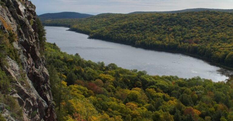 Dense Forests - Lake among Dense Forests