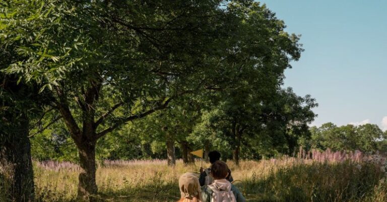 Scouting Values - Group of Children Walking on a Pathway
