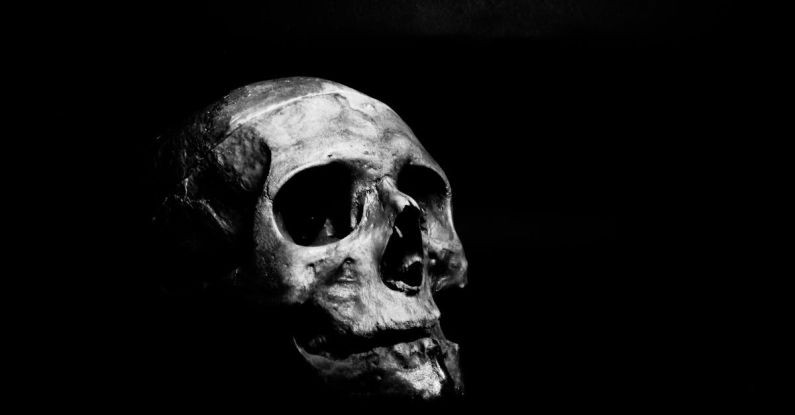 Dead Reckoning - Grayscale Photography of Human Skull