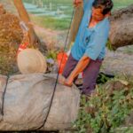 Packing Tips - Rau nhút