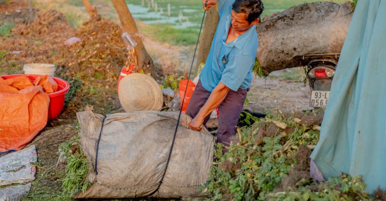 Packing Tips - Rau nhút