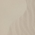 Desert Climates - White sandy surface on sea shore